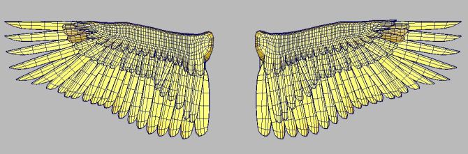 wings wireframe